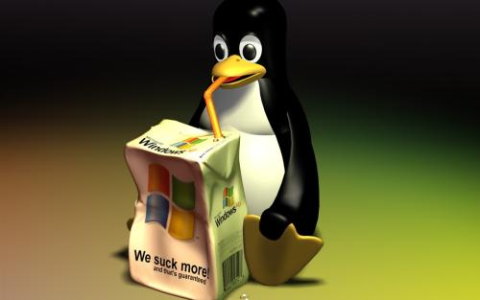 最新Linux内核中TCP SACK机制远程DoS预警通告处理