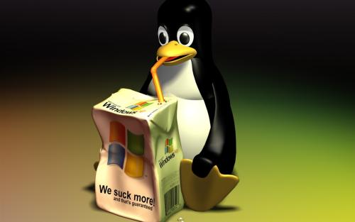 最新Linux内核中TCP SACK机制远程DoS预警通告处理