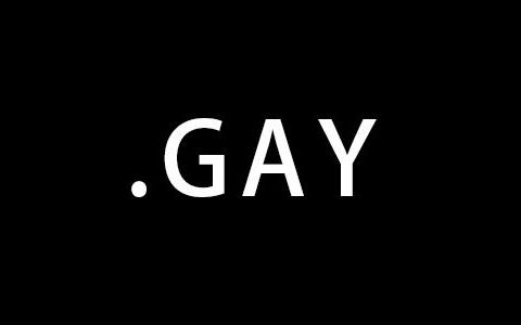 GAY正式开放注册，同性恋后缀域名