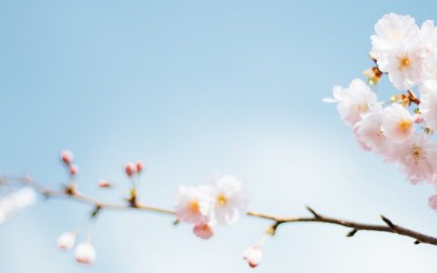 酷番云2021年中秋节放假通知