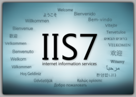 IIS环境服务器下网站防盗链具体怎么设置方法