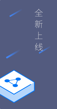 全新上线